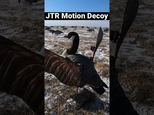 JTR Motion Decoy: “X-Flapper” | Goose Hunting #shorts