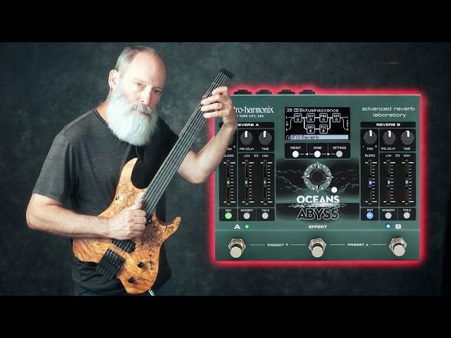 This Reverb Pedal Can Make Mind Bending Ambient Loops!