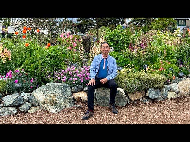 Annie's Annuals & Perennials – Nicotiana, Verbascum, Poppy & Unexpected Plants