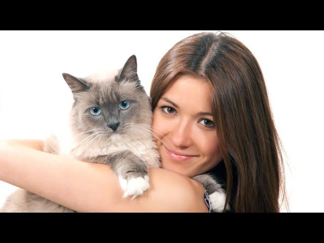 Steve Dale: The Cat Friendly Practice Program