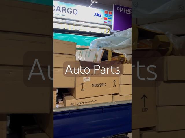 AutoParts. Spare Parts. Pravda Group