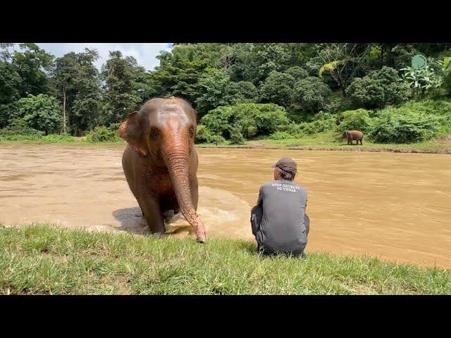 The Unbreakable Bond Between Darrick and the Chana Herd - ElephantNews