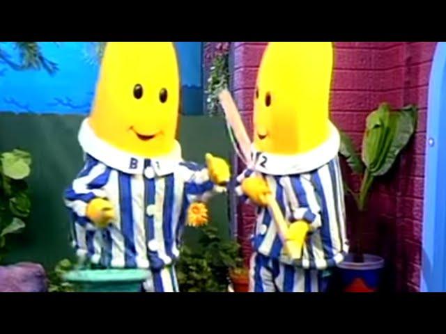 Classic Compilation #4 - Full Episodes - Bananas In Pyjamas Official