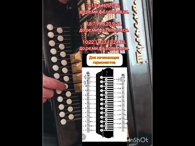 Ноты на гармони #гармонь