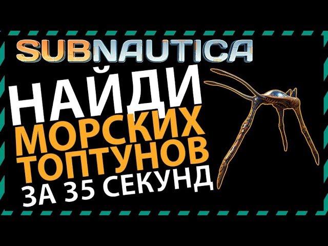 Subnautica ГДЕ НАЙТИ МОРСКИХ ТОПТУНОВ