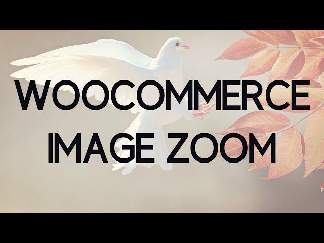 How to add a Image Zoom to your Wordpress Store Gallery