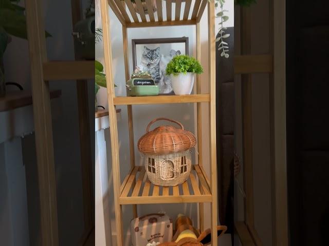 my cozy shelf decor  #homedecor #cozy #aesthetic #decor #home