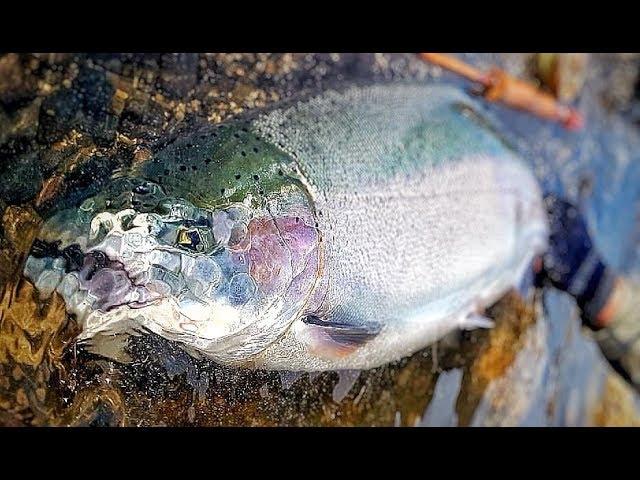 Strobel Lake by Outdoors International - Argentina Fly Fishing