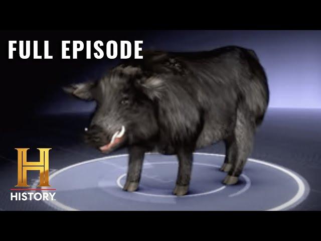 MonsterQuest: FEROCIOUS FERAL HOG INVADES GEORGIA (S2, E1) | Full Episode