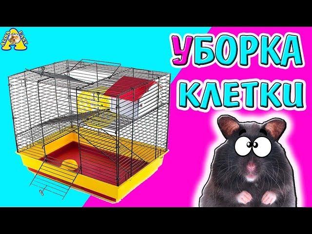 CLEANING Hamster | CLEANING I Hamster | the Children's Channel