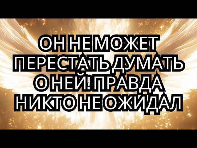 ОН ПРИЗНАЛСЯ: «ТЫ — ЛЮБОВЬ МОЕЙ ЖИЗНИ!» ОТКРОВЕНИЕ, КОТОРОЕ ОСТАВИЛО ВСЕХ В СОКРОВИЩАХ