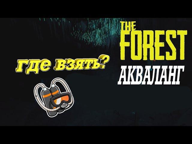 The Forest - Где найти акваланг??!