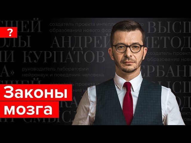 Законы мозга: в чьих руках наша жизнь?