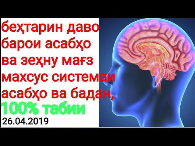 БЕХТАРИН ДОРУИ ГИЁХИ БАРОИ АСАБҲО ВА ҲОФИЗАИ МНСОН ҲАТМАН БУБИНЕД.