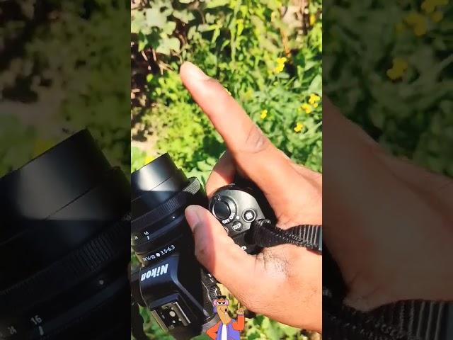 how to blur background with kit lens | background blur #photography #youtubeshorts #viral
