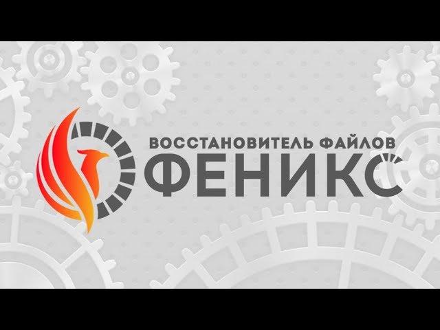 Феникс - обзор программы для восстановления файлов