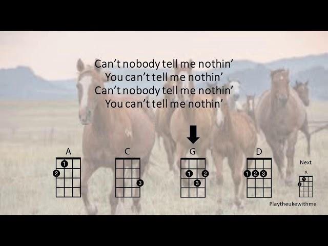 Old Town Road Ukulele Play Along (Clean/Edited Version)