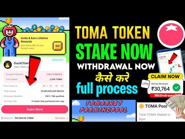 Tomarket FarmingPool Stake TOMA Withdrawal Process DUCK | earn DuckChain | TOMA Pool Airdrop Details