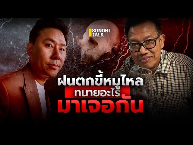 ฝนตกขี้หมูไหล ทนายอะไรมาเจอกัน : Sondhitalk (ผู้เฒ่าเล่าเรื่อง) EP.267