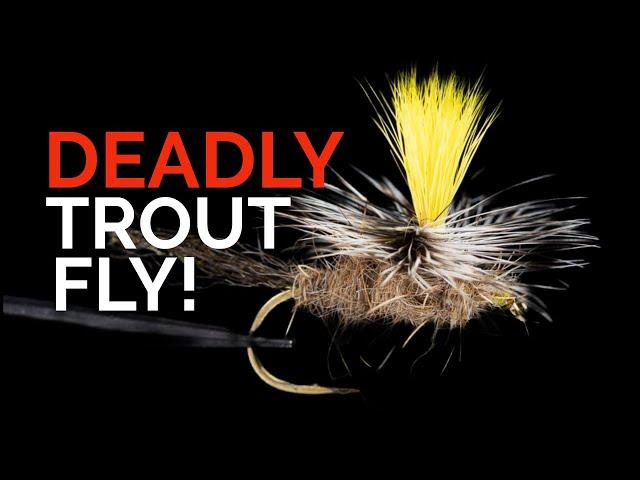 Tying & Fishing the ParaNymph with Tom Baltz – Legendary Parachute Fly!