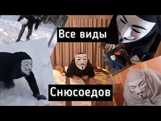 Все виды снюсоедов