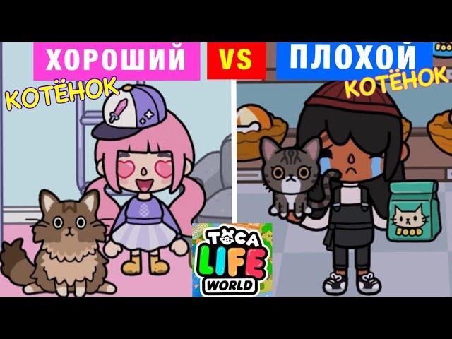 ХОРОШИЙ КОТЁНОК VS ПЛОХОЙ КОТЁНОК Toca Life World 