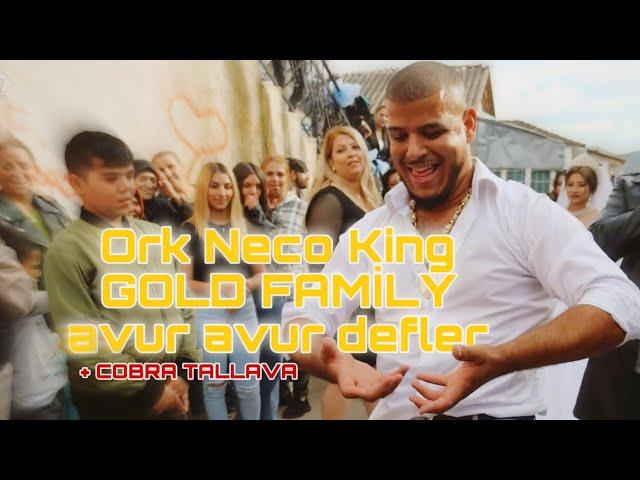 Ork Neco King Gold Familija ŞTİP  COBRA TALLAVA + AVUR AVUR DEFLER 2024