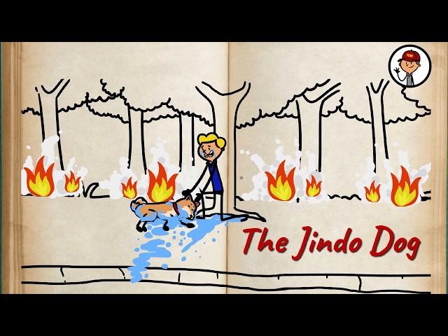 English Short Stories: The Jindo Dog