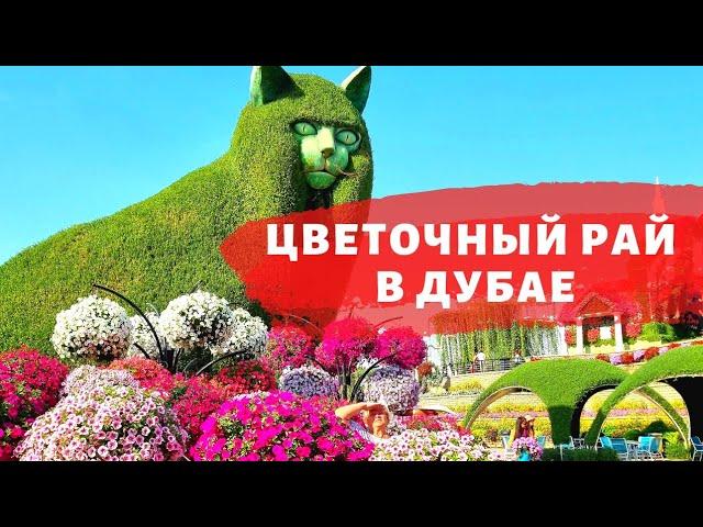 50 млн Цветов в Пустыне! Сад цветов и парк чудес в Дубае.Dubai Miracle Garden