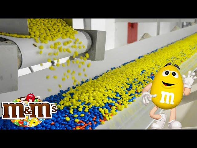 How M&Ms are Made In Factory | Largest M&Ms Factory Tour