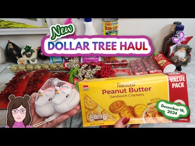 Fun DOLLAR TREE HAUL!  New Finds!! December 16, 2024