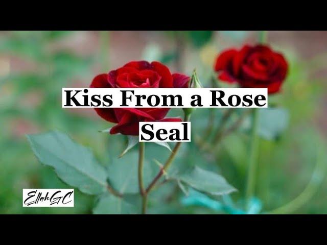 Kiss From a Rose - Seal ( Lyrics )