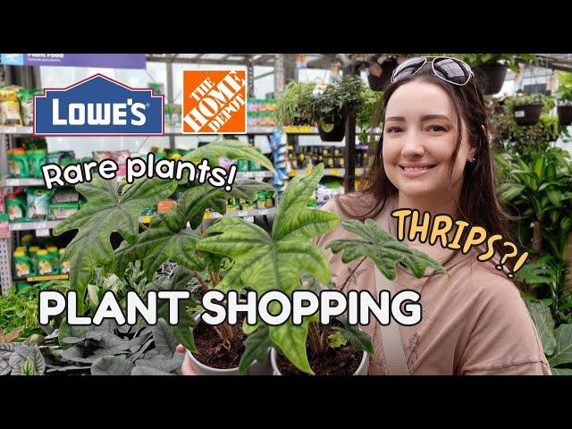 Big Box Plant Shopping! Rare Plants, Thrips  & a Haul! 