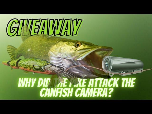 Secret to Using the CanFish Fishing CamX to Be More Successful in Fishing + GIVEAWAY