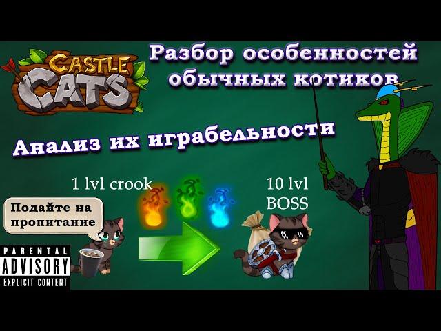 Гайд-аналитика по всем обычным героям в Castle Cats