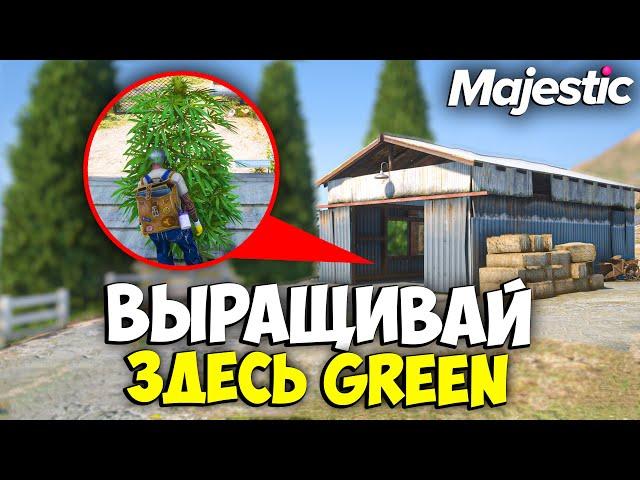 ВЫРАЩИВАЙ ЗДЕСЬ GREEN на MAJESTIC RP GTA 5 - СЕМЕНА ГРИН МАДЖЕСТИК РП