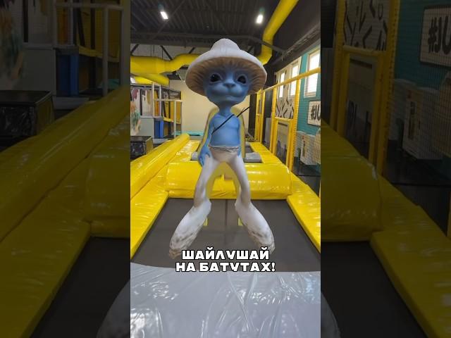 Он прямо на батутах? #top #meme #funny #trend #shaylushay #smurf #мемы #шайлушай