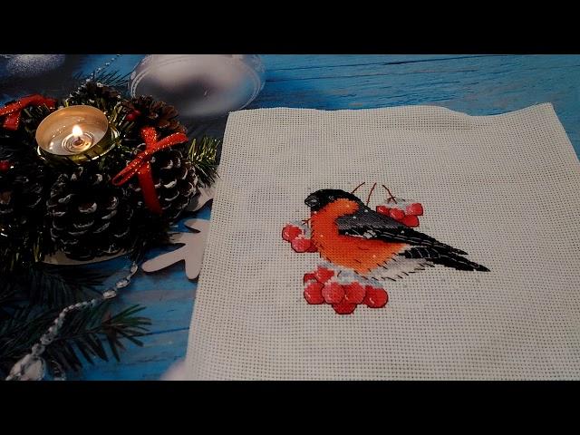 FlossTube #3 Bullfinch designed by Serafima Abramova // THRILLING crosstitch project