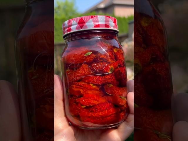 DRIED TOMATOES in olive oil | simple recipe