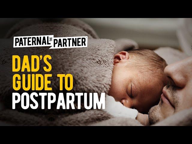 DAD'S GUIDE: Postpartum for New Fathers