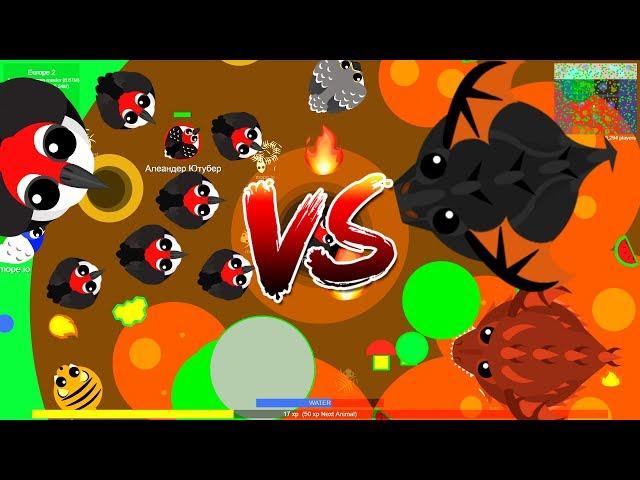 WOODPECKER KILL BLACK DRAGON ! FUNNY MOMENTS AND TROLLING ANIMAL IN MOPE.IO//ЧЁРНЫЙ ДРАКОН МОПЕ ИО