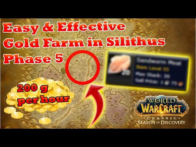 Extreme efficient Gold Farm:  200g/h in Silithus in Phase 5 [WoW SoD]