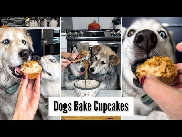 Huskies Bake Cupcakes