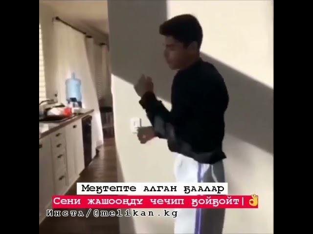Койчу братан