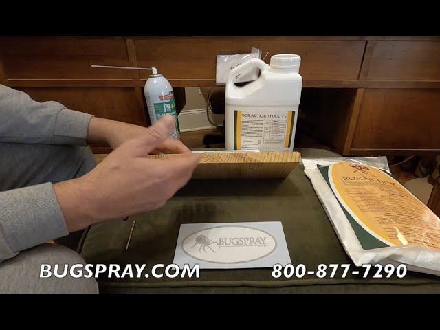 HOME TREATMENT FOR WOOD BORING BEETLE CONTROL | BUGSPRAY PEST CONTROL SUPPLIES