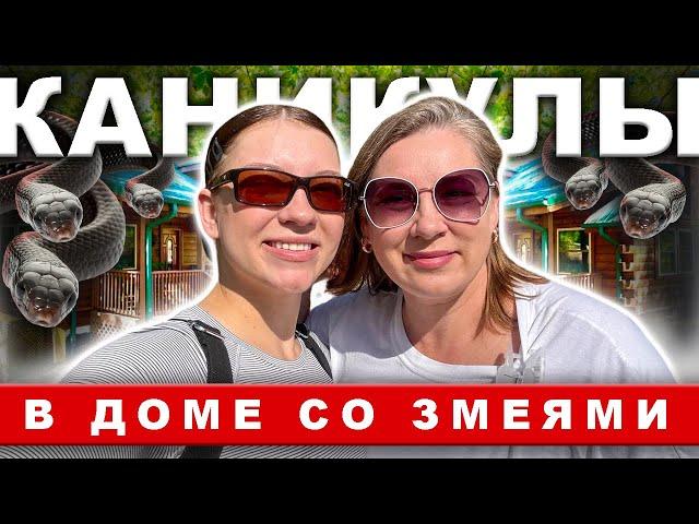 Ура, каникулы! Отдых в горах #эмиграциявсша  #севернаякаролина