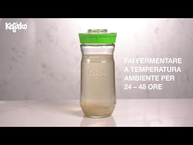 Come fare la seconda fermentazione di kefir d'acqua con il Fermentatore di Kefirko?