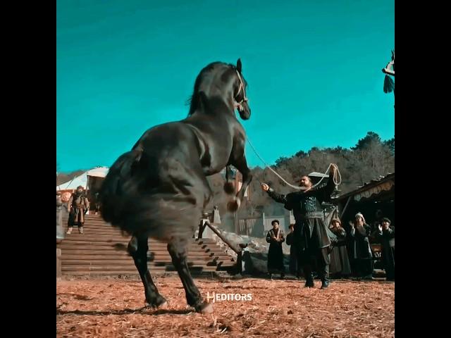 Aykurt Showed Osman Bey X Apls️ Amazing Action Of Horse  |  #shorts #youtubeshorts #oheditors