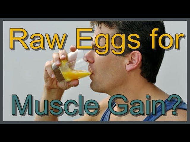 Are Raw Eggs Good for Muscle Gain?