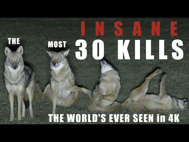 30 UNBELIEVABLE PREDATOR KILLS in 4K...the bar has been raised!